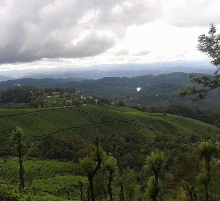 Munnar Lush Greens Eksteriør bilde
