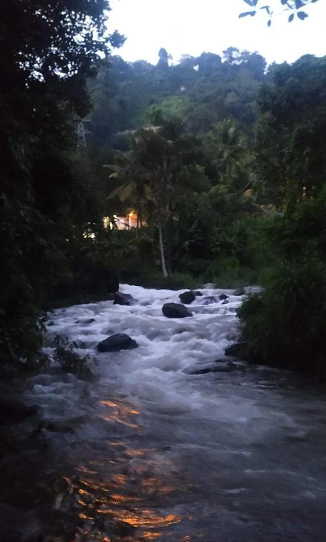 Munnar Lush Greens Eksteriør bilde