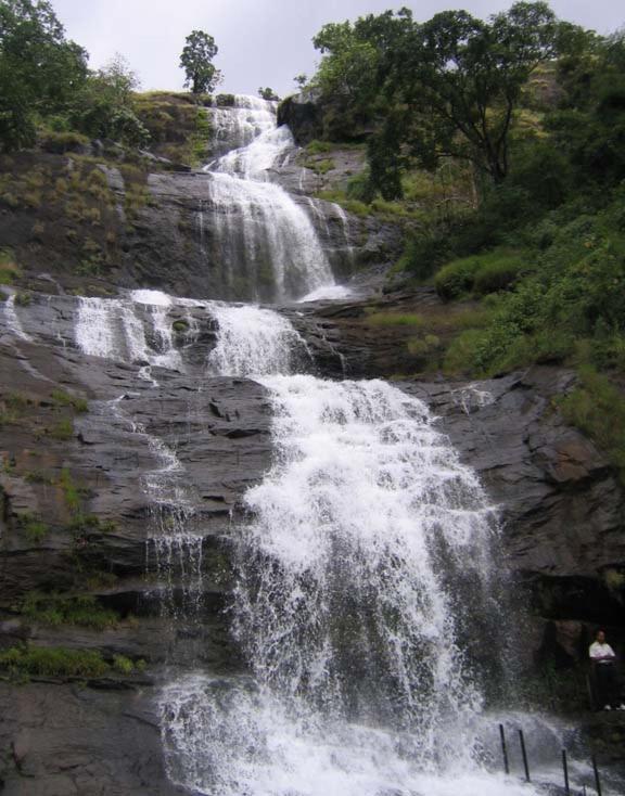 Munnar Lush Greens Eksteriør bilde